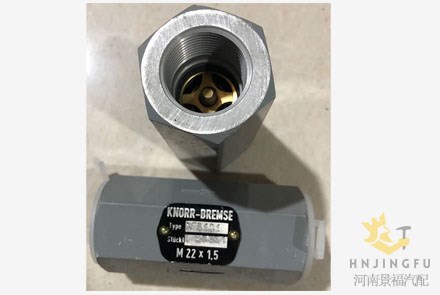 Knorr Bremse 25351 I25351 AE5101 check valve